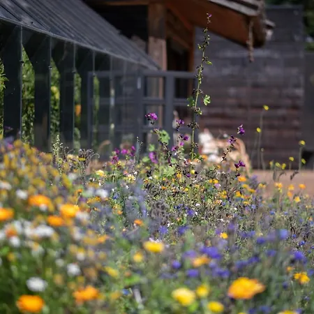 Loo Kodu&koeoek 게스트하우스 3*