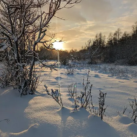 게스트하우스 Loo Kodu&koeoek