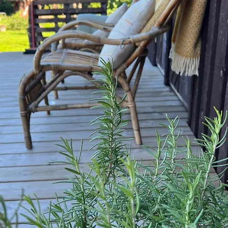 Loo Kodu&koeoek 게스트하우스 3*