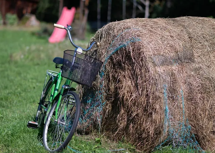 Pensionat Loo Kodu&koeoek Muraste