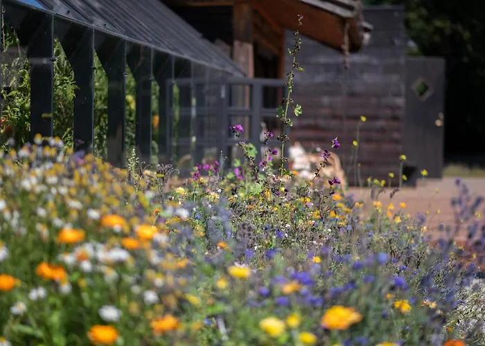 Loo Kodu&koeoek Pensionat 3*