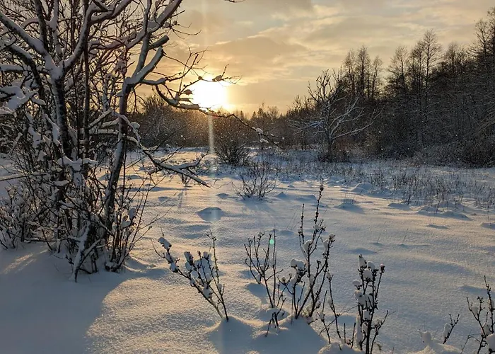 Pensionat Loo Kodu&koeoek