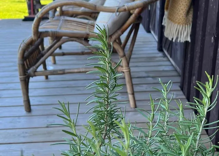 Loo Kodu&koeoek Pensionat 3*